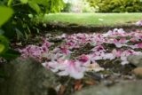 Panasonic S1IIE sample gallery: a familiar sensor in an upgraded body