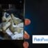 How to master the Pro mode of the Galaxy S26 camera